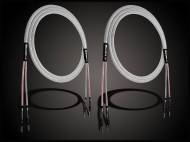 Audiomica Genimedes Ultra Reference