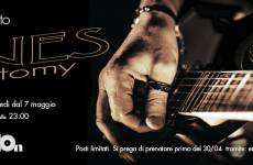 Un tributo al blues