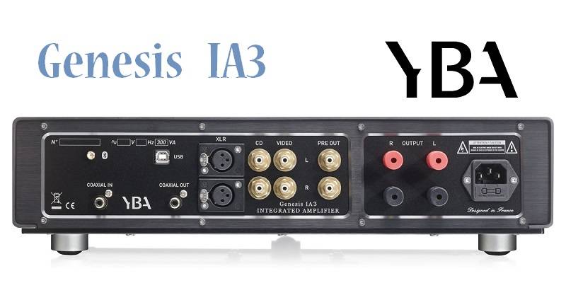 YBA Genesis IA3A